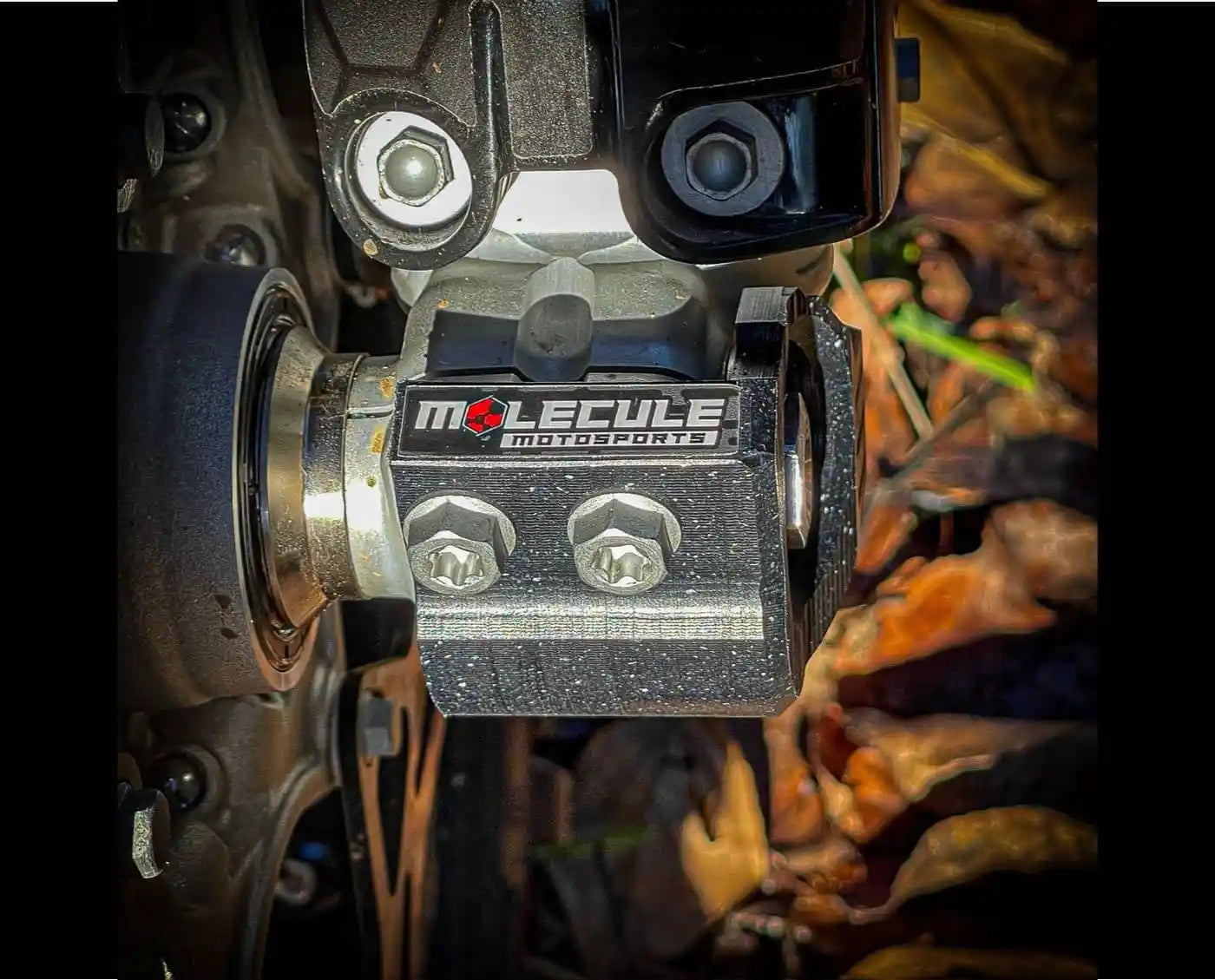 View of brake rotor side fork lug guard