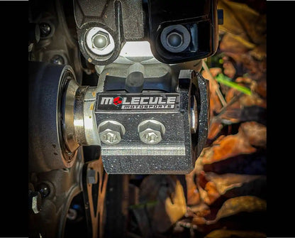 View of brake rotor side fork lug guard