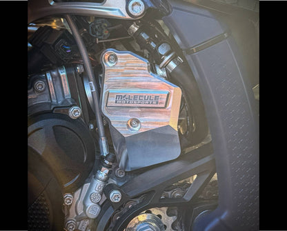 KTM Throttle-body guard by Molecule Motosports